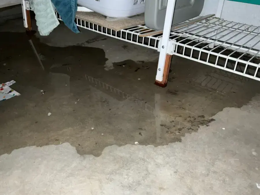 Water pooled on a basement floor under wire storage shelving, water damage restoration in Brookline, MA