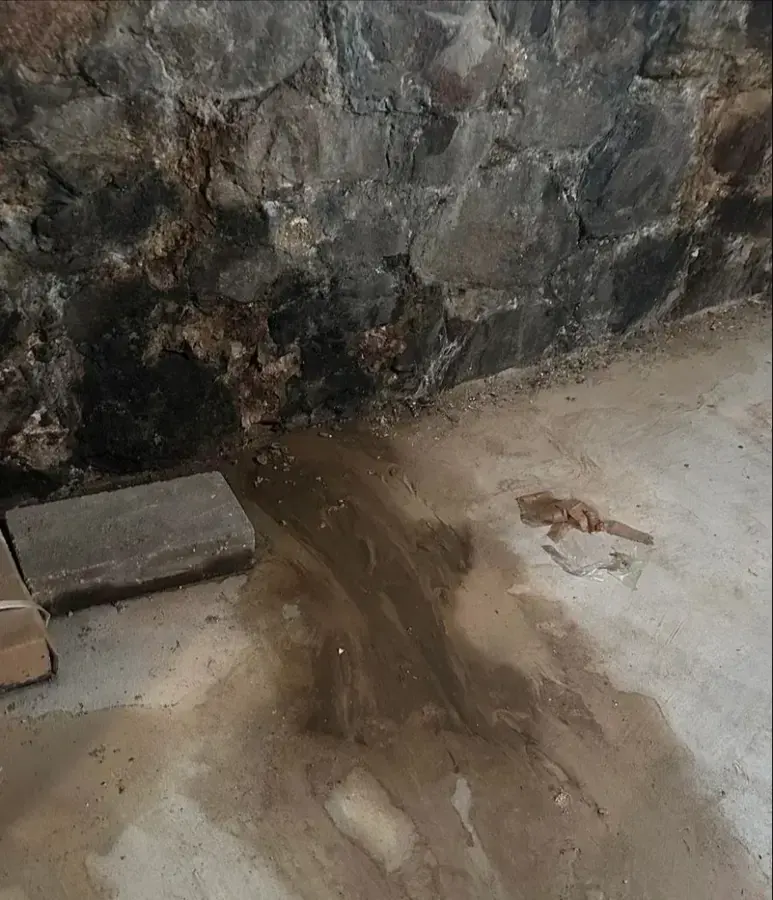 Groundwater seeping from an old stone foundation wall onto a basement floor, basement flooding cleanup in Brookline, MA