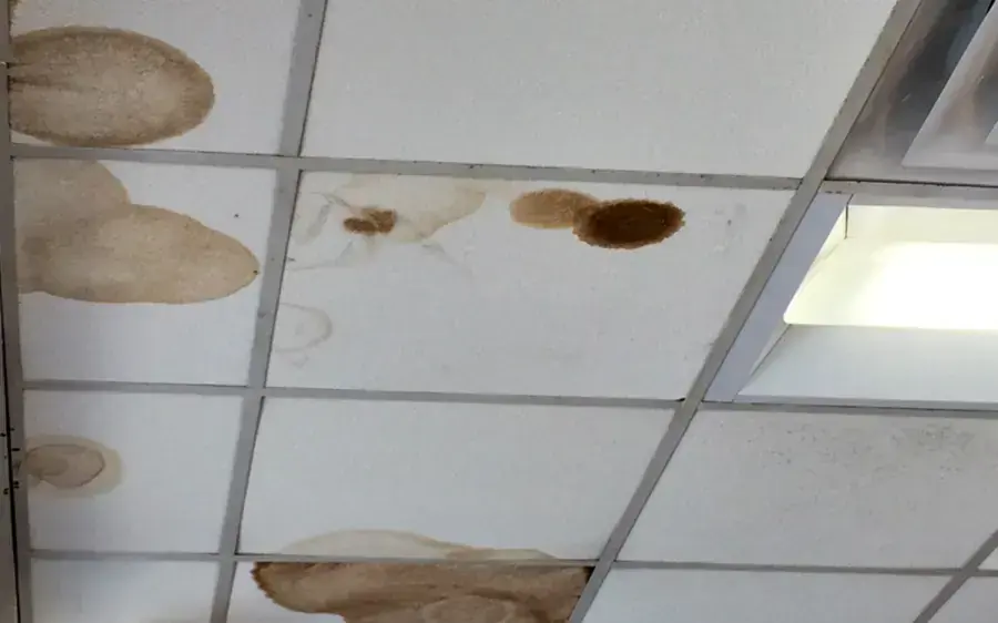 Water-stained drop ceiling tiles in a commercial space, commercial water damage in Brookline, MA