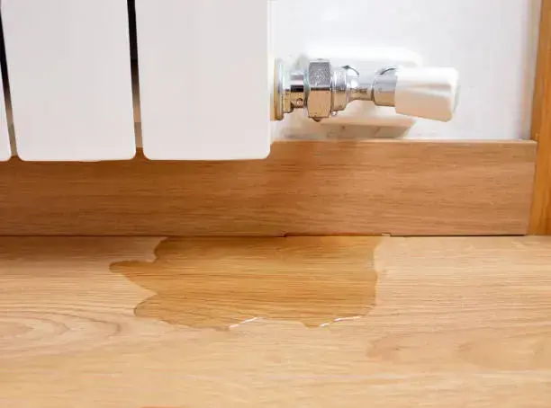 Water pooled on a wood floor below a leaking radiator valve, radiator and boiler leak water damage in Brookline, MA