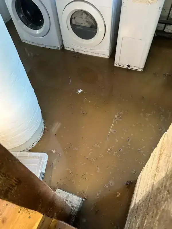 Murky backup water spread across a basement laundry floor, sewage backup cleanup in Brookline, MA